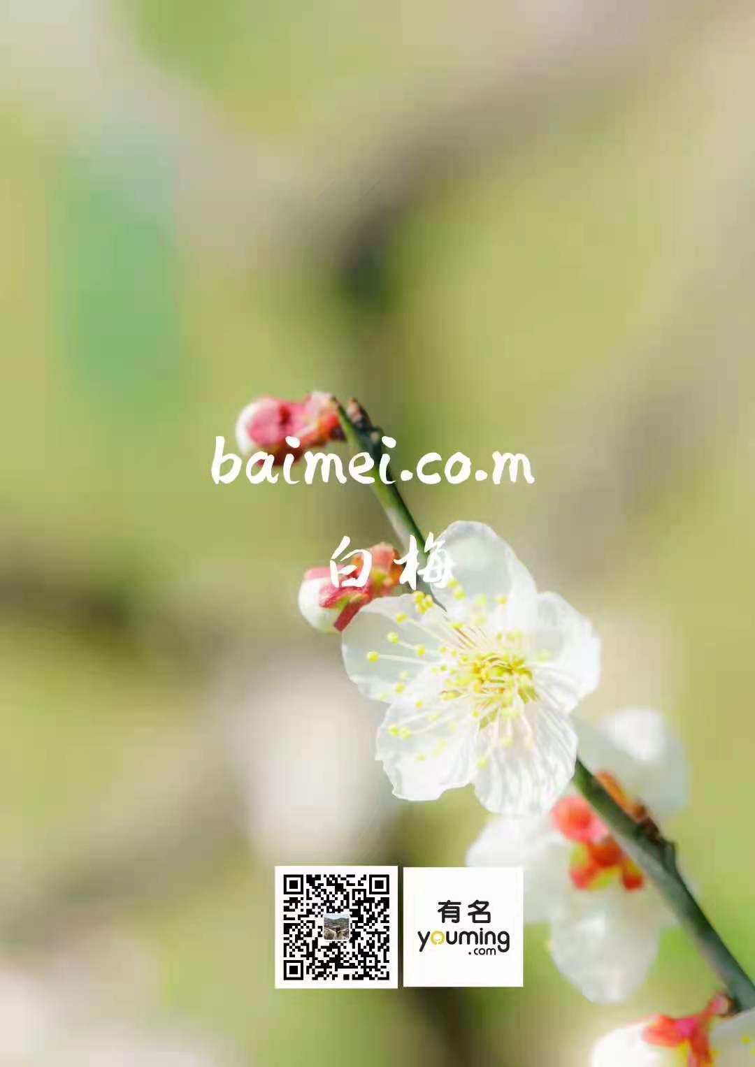 baimei.com域名交易,域名买卖,域名购买